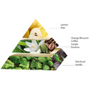 Purple Lady By Pascal Morabito - Eau De Parfum - Perfume For Women - Long Lasting Fragrance - Spray For Her With Notes Of Lemon, Vanilla, Orange Blossom & Cedar - 3.3 Oz