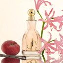 Jimmy Choo I Want Choo 2 Piece Holiday Gift Set