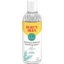 BurtS Bees Foaming Face Wash, Bha Breakout Defense Cleanser For All Skin Types, Washes Away Impurities & Excess Facial Oil, With A Prebiotic, 8 Oz