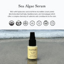 Evanhealy Sea Algae Anti Wrinkle Serum For Sensitive Skin | Lightweight Firming Face Serum Anti Aging | Facial Serum With Hyaluronic Acid & Botanical Extracts