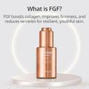 Pregnancy Safe Skincare Fgf Pure Ampoule Serum (Fgf 10 Ppm), Firming Anti Aging, Hyaluronic Acids Glycerin Niacinamide, Improves Dermal Elasticity Reduces Fine Lines Hydrating 30Ml 1 Fl Oz