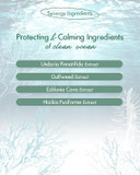 Skincure Vegan Seaweed Mud Mask, Korean Skincare Blackhead Remover Clay Mask For Pore Cleansing With Kaolin & Bentonite, Oil Control & Gentle Exfoliation, 3.5Oz Skincure Vegan Seaweed Mud Mask, Korean Skincare Blackhead Remover Clay Mask For Pore Cleansing With Kaolin & Bentonite, Oil Control & Gentle Exfoliation, 3.5Oz