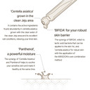 Master Serum Moisturizing Serum For Healthy Skin And Improve Skin Barrier | Cruelty Free Korean Glass Skincare (1.01 Fl Oz)