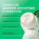 Innisfree Green Tea Seed Hydrating Serum With Hyaluronic Acid & Niacinamide, Korean Face Serum For Glow