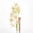 Blume Tri-Peptide Toffee Soft Brown Tinted Lip Balm - Superbalm Lip Moisturizer With Shea Butter And Squalane To Deeply Hydrate & Heal Dry, Cracked Lips - Cruelty Free & Vegan Lip Plumper (0.4 Fl Oz)