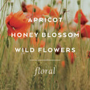 Library Of Flowers Handcreme  Scented Hand Cream For Women, Moisturizing Hand Lotion For Dry Hands, Shea Butter & Cocoa Butter