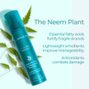 L'Anza Neem Plant Detangling Hair Primer, Detangler Spray & Heat Protection, Leave-In Anti Frizz Detangling Hair Spray, Protects Weak, Fragile Locks Against Split Ends & Frizz Control, New Bottle