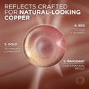 LOreal Paris Excellence Universal Nudes Permanent Hair Color, Ammonia Free Hair Dye For Gray Hair Coverage, 2N Natural Soft Black, 1 Hair Dye Kit