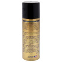 Salon Grafix High Beams Intense Temporary Spray - Burgundy For Unisex - 2.7 Oz Hair Color