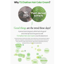 Ts Chakhan Hair Color Cream : No.5 Dark Brown. Ts Mild Hair Dye Is Easy To Use, And Contains No Ppd & No Ammonia (#5 Dark Brown)