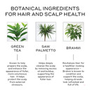 Zenagen Revolve Women'S Thickening Shampoo | Supports Appearance Of Fuller, Healthier-Looking Hair, Developed For Fine & Visibly Thinning Hair, Plant-Based, Color-Safe, 5-Minute Treatment