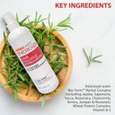 Hobe Labs Energizer Hair Follicle Stimulator