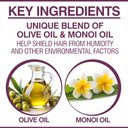 Chi Deep Brilliance Optimum Moisture Conditioner, Made With Olive & Monoi Oil To Strengthen Hair, Sulfate, Paraben, & Cruelty-Free, 12 Oz