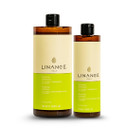 Volume Shampoo With Bamboo, Grapeseed Oil & Ginger Extracts For Chemically Treated Hair | Revitalizing & Hydrating Shampoo - 475Ml / 16.05 Oz