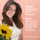 Phyto Color Protecting Shampoo For Coloured Hair  Radiance Enhancing & Shine Boosting, Sulfate Free, Colour Safe, 12 Washes Longevity|250 Ml