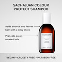 Sachajuan Colour Protect Shampoo