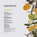 Phillip Adam Orange Vanilla Shampoo For Shiny Hair - Enriched With Apple Cider Vinegar - Sulfate Free - 12 Ounce