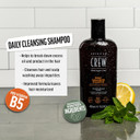 Shampoo For Men By American Crew, Daily Cleanser, Naturally Derived, Vegan Formula, Citrus Mint Fragrance, 15.2 Fl Oz
