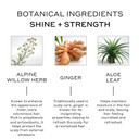 Zenagen Evolve Unisex Conditioner