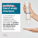Milk_Shake Purifying Blend Shampoo