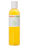 Living Libations - Organic Seabuckthorn Shampoo | Natural, Wildcrafted Clean Beauty (4 Fl Oz | 120 Ml)