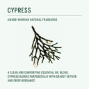 Corpus - Cypress Conditioner | Plant-Based, Instant Deep Conditioning Weightless Formula With Tremella Mushroom | For All Hair Types, Silicone-Free, No Synthetic Fragrance Or Parabens (266Ml/ 9Fl Oz)