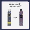 Hask Charcoal Purifying Dry Shampoo  Absorbs Oil, Purifies & Detoxifies Hair, Extends Time Between Washes, No Sulfates Or Parabens, Cruelty-Free  8.1Oz