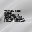 Bleach London Reincarnation Bond Restoring Shampoo: Strengthening Daily Shampoo For All Hair Types - Vegan & Peta-Approved - (300Ml / 10.1Oz)