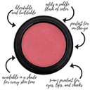 Gabriel Cosmetics Multi Pot (Conch - Rose/Silver Shimmer),3-In-1 Eyes, Lips, Cheeks, Natural, Paraben Free, Vegan, Gluten-Free, Cruelty-Free, Non Gmo, 0.08 Oz Gabriel Cosmetics Multi Pot (Conch - Rose/Silver Shimmer),3-In-1 Eyes, Lips, Cheeks, Natural, Paraben Free, Vegan, Gluten-Free, Cruelty-Free, Non Gmo, 0.08 Oz