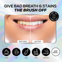 Venus Visage Activated Charcoal Toothpaste For Whitening, 3 Pack - Effective Teeth Whitening Toothpaste For Surface Stains - Peppermint Flavor (3.7 Oz/105 G)