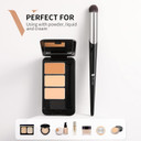 Concealer Brush,Ducare Tapered Small Concealer Brush Under Eye Mini Makeup Brush Thin Foundation Brightening Slanted Brush For Dark Circles Puffiness Puffy Face Eyebrow Eyes (V03)V03