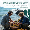 Trueseamoss Sea Moss Raw Gold - Organic Wildcrafted Irish Sea Moss For Digestion And Skin Health - Makes 200 Oz Of Gel - Sundried 16Oz