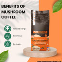 Pureshrooms Decaf Mushroom Coffee | Swiss Water, Ground, Infused With Organic LionS Mane, Reishi & Cordyceps + L-Theanine  Single Origin Guatemala 12 Oz Bag