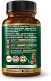 Herbal Goodness Chanca Piedra, Chanca Piedra Stone Breaker, Kidney Stones Dissolver, Kidney Stone Breaker, Gallstone Dissolver, Chanca Piedra Para Los Riñones 60Ct Capsules - 1 Bottle
