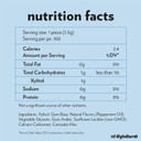 Xyloburst Gum | Xylitol Chewing Gum | Sugar Free, Gluten Free, Keto Friendly | Aspartame Free Gum For Oral Health | Peppermint | 100-Count Jar