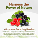 Go Nutra Organic Freeze Dried Acai Berry Blend For Bowls | Superfood Smoothie Mix With 4 Immune Boosting Berries | Acai Maqui Elderberry Acerola | Antioxidant Freeze Dried Berries 30 Servings 1Lb