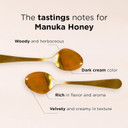 Manuka Doctor - Manuka Honey Squeezy Mgo 182+ / Umf8 Dual Rated Monofloral, 100% Pure New Zealand Honey. Certified. Guaranteed. Raw. Non-Gmo (10.58 Oz)