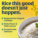 Lundberg White Arborio Rice - Short-Grain White Rice, Creamy Texture For Making Risotto, Rice Pudding, Healthy Food Recipes, Vegan Food, Gluten-Free Rice Grown In California, 32 Oz