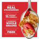 Kellogg'S Special K Breakfast Cereal, Fiber Cereal, Family Breakfast, Family Size, Red Berries, 15.6Oz Box (1 Box)