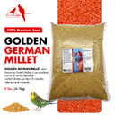 Morning Bird Golden German Millet  Bird Seed & Parakeet Food With Protein, Vitamin B & Fiber  Easy-To-Digest Millet Seed, Natural Food & Daily Nutrition Supplement For All Type Of Bird 9 Lbs