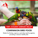 Morning Bird Golden German Millet  Bird Seed & Parakeet Food With Protein, Vitamin B & Fiber  Easy-To-Digest Millet Seed, Natural Food & Daily Nutrition Supplement For All Type Of Bird 9 Lbs