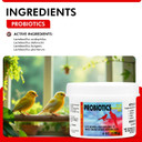 Morning Bird Probiotics For Birds 16 Oz Digestive Health Supplement With Supports Gut Balance, Nutrient Absorption & Immune Support  Easy Mix Powder Supplement For All Bird Species