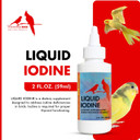 Morning Bird Liquid Iodine For Birds 2 Fl. Oz  Iodine Drops For Feather Growth, Support Molting, Energy & Thyroid  Easy-To-Use Mineral Supplement Formula For All Bird Types Morning Bird Liquid Iodine For Birds 2 Fl. Oz  Iodine Drops For Feather Growth, Support Molting, Energy & Thyroid  Easy-To-Use Mineral Supplement Formula For All Bird Types