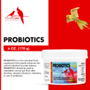 Morning Bird Probiotics For Birds 6 Oz Digestive Health Supplement With Supports Gut Balance, Nutrient Absorption & Immune Support  Easy Mix Powder Supplement For All Bird Species