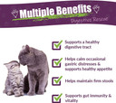 Amber Naturalz Kitty-Dt Digestive Rescue Herbal Supplement For Cats | Feline Herbal Supplement For Occasional Upset And Digestive Support | 1 Fluid Ounce Glass Bottle | Manufactured In The Usa