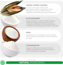 Glucosamine For Cats - 4.23Oz/120G Powder - Hip And Joint Supplement For Cats With Green Lipped Mussel, Msm, Chondroitin, And Vitamin E Glucosamine For Cats - 4.23Oz/120G Powder - Hip And Joint Supplement For Cats With Green Lipped Mussel, Msm, Chondroitin, And Vitamin E