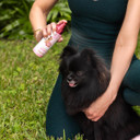 Paris Hilton Fragrance-Free Dog & Pet Blowout Conditioning Spray - Hypoallergenic, Sulfate-Free Grooming Treatment For Frizz Control, Soft Coats, Detangling & Show Ready Fur Styling 6Oz