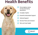 K9 Select Melatonin For Dogs - Composure Dog Calming Chews - Dog Melatonin For Sleep - Reduce Stress Helps Composure Calming Treats For Large Dogs - 6 Mg, 90 Beef Flavored Chewable Tablets