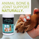 Youngevity Arthrydex Complete Nutritional Supplement | Vitamins Amino Acids Enzymes | Pets Healthy Bones & Joints -1 Lb Canister
