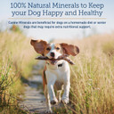 Rx Vitamins Canine Minerals - Essential Minerals For Dogs - Calcium, Magnesium, Iron Supplement, Bone And Joint Supplement For K9, Immune Support - 16Oz